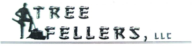 Tree Fellers, LLC: Tree Removal the Old-Fashioned Way