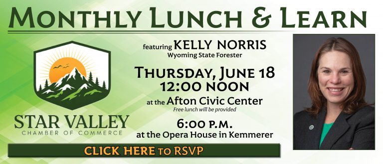 RSVP to June Lunch n’ Learn with Wyoming State Forester Kelly Norris